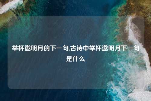 举杯邀明月的下一句,古诗中举杯邀明月下一句是什么