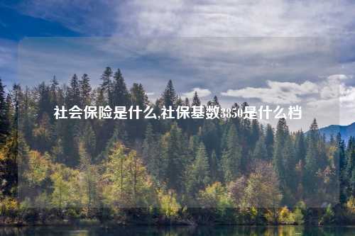 社会保险是什么,社保基数3850是什么档