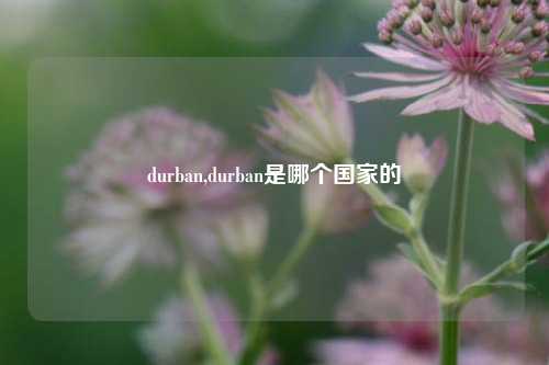 durban,durban是哪个国家的