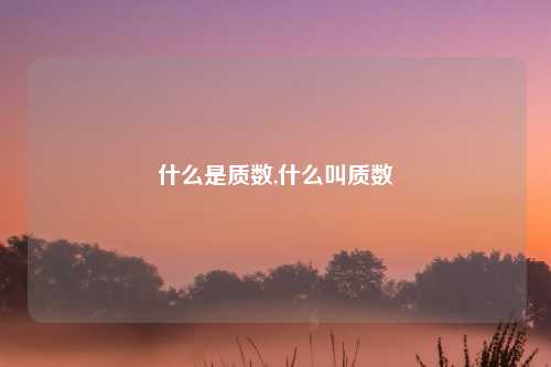 什么是质数,什么叫质数