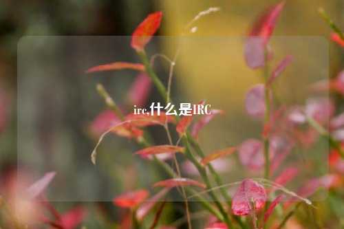 irc,什么是IRC