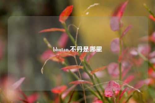 bhutan,不丹是哪里
