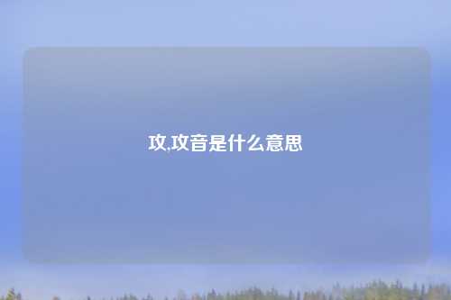 攻,攻音是什么意思