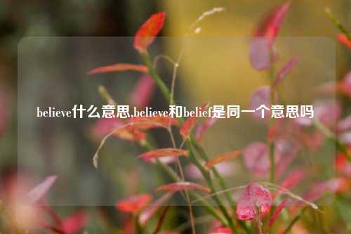 believe什么意思,believe和belief是同一个意思吗