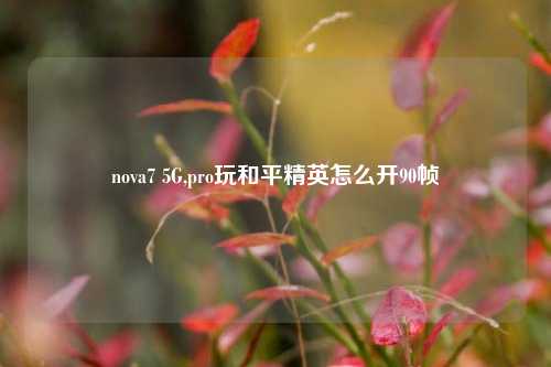 nova7 5G,pro玩和平精英怎么开90帧