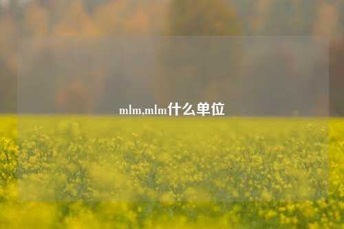 mlm,mlm什么单位