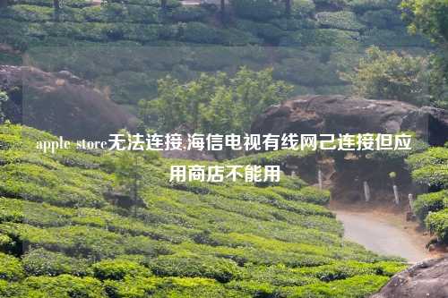apple store无法连接,海信电视有线网己连接但应用商店不能用