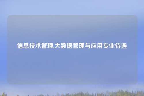 信息技术管理,大数据管理与应用专业待遇