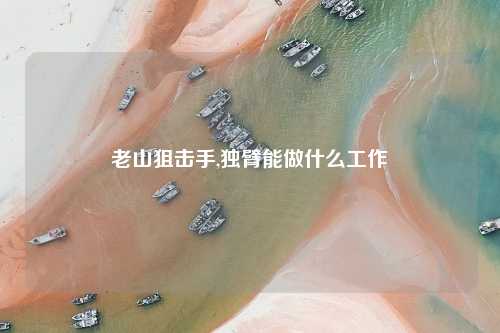 老山狙击手,独臂能做什么工作