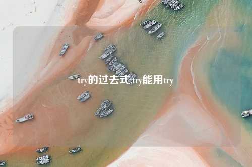 try的过去式,try能用try