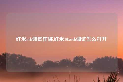红米usb调试在哪,红米10xusb调试怎么打开