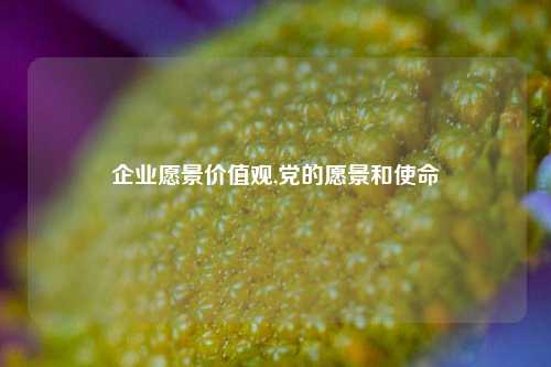 企业愿景价值观,党的愿景和使命