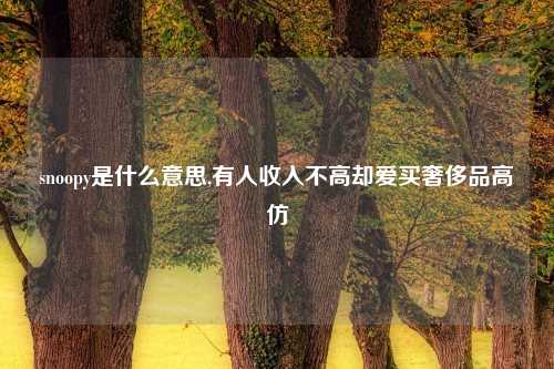snoopy是什么意思,有人收入不高却爱买奢侈品高仿