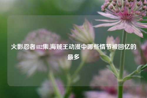 火影忍者482集,海贼王动漫中哪些情节被回忆的最多