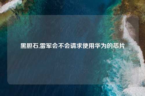 黑胆石,雷军会不会请求使用华为的芯片
