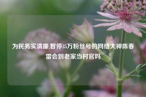 为民务实清廉,暂停35万粉丝号的网络大神陈春雷会到老家当村官吗