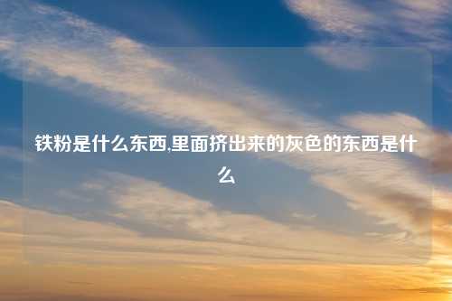铁粉是什么东西,里面挤出来的灰色的东西是什么