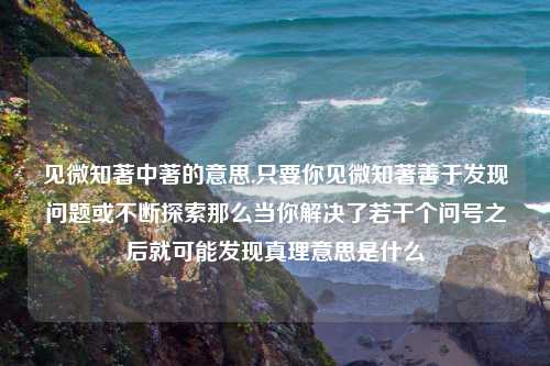 见微知著中著的意思,只要你见微知著善于发现问题或不断探索那么当你解决了若干个问号之后就可能发现真理意思是什么