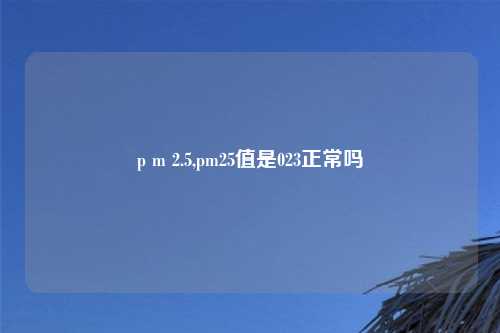 p m 2.5,pm25值是023正常吗