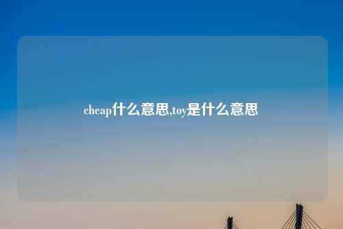 cheap什么意思,toy是什么意思