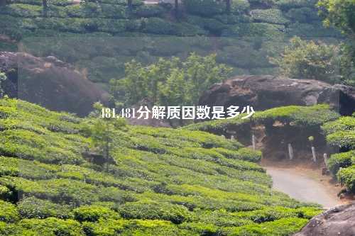 481,481分解质因数是多少