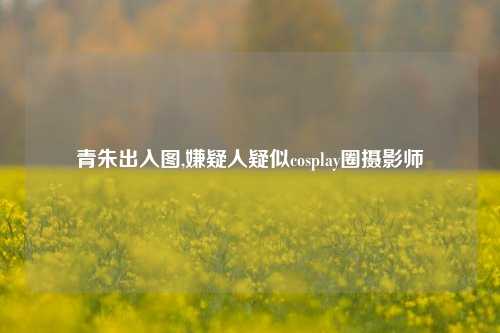 青朱出入图,嫌疑人疑似cosplay圈摄影师