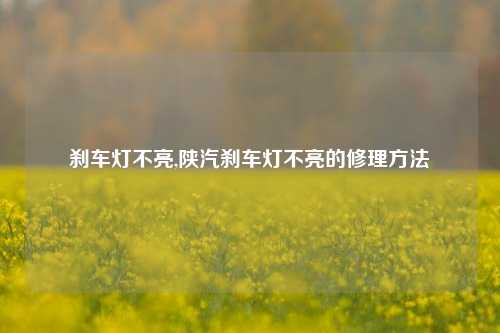 刹车灯不亮,陕汽刹车灯不亮的修理方法