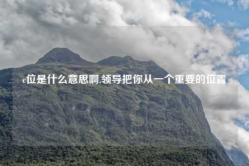 c位是什么意思啊,领导把你从一个重要的位置