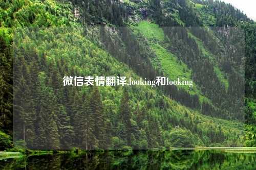 微信表情翻译,looking和looking