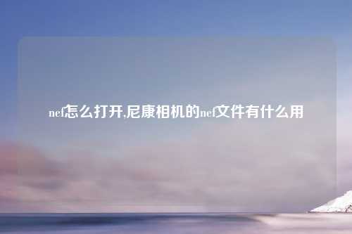 nef怎么打开,尼康相机的nef文件有什么用