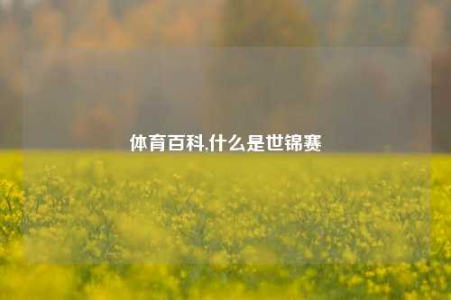 体育百科,什么是世锦赛