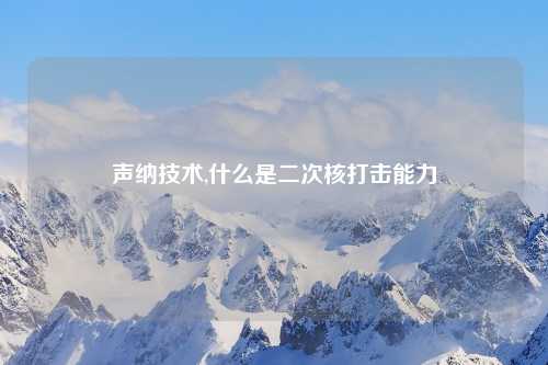声纳技术,什么是二次核打击能力