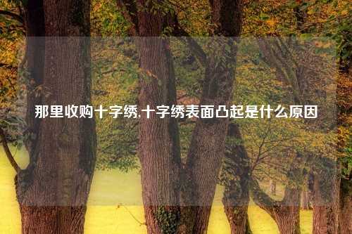 那里收购十字绣,十字绣表面凸起是什么原因