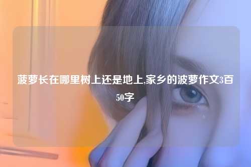 菠萝长在哪里树上还是地上,家乡的波萝作文3百50字