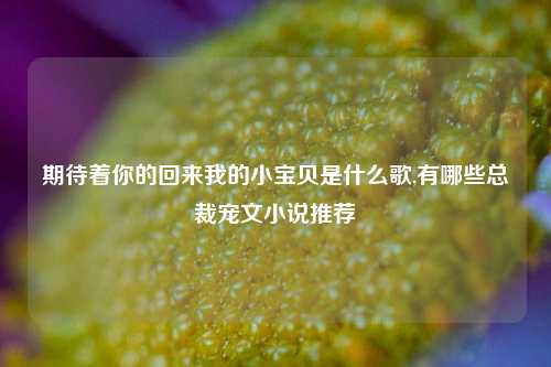 期待着你的回来我的小宝贝是什么歌,有哪些总裁宠文小说推荐