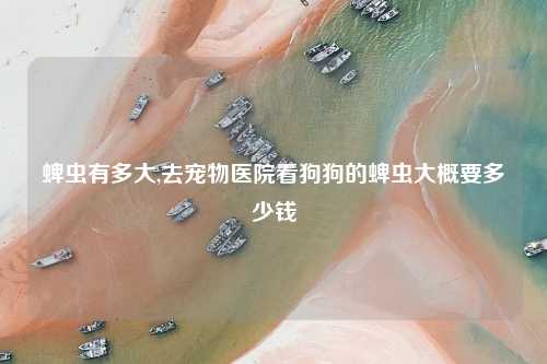 蜱虫有多大,去宠物医院看狗狗的蜱虫大概要多少钱