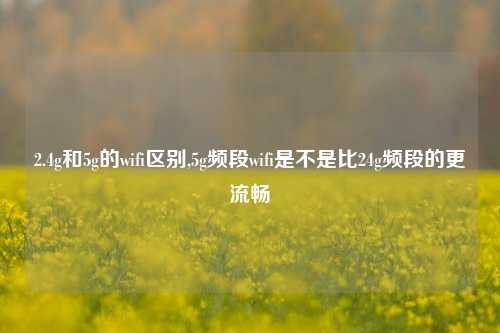 2.4g和5g的wifi区别,5g频段wifi是不是比24g频段的更流畅