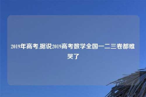 2019年高考,据说2019高考数学全国一二三卷都难哭了