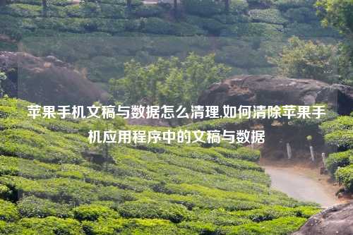苹果手机文稿与数据怎么清理,如何清除苹果手机应用程序中的文稿与数据