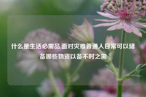 什么是生活必需品,面对灾难普通人日常可以储备哪些物资以备不时之需