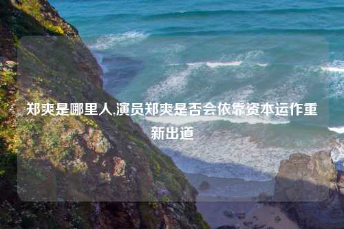 郑爽是哪里人,演员郑爽是否会依靠资本运作重新出道