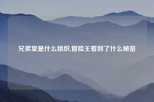 兄弟堂是什么组织,冒险王看到了什么秘密
