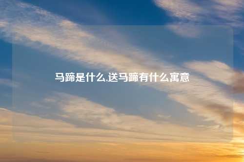 马蹄是什么,送马蹄有什么寓意