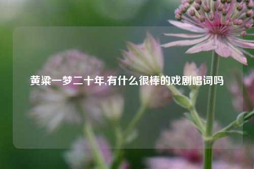 黄粱一梦二十年,有什么很棒的戏剧唱词吗
