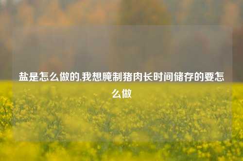 盐是怎么做的,我想腌制猪肉长时间储存的要怎么做