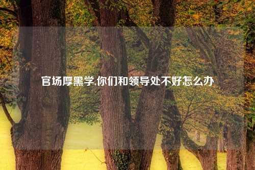 官场厚黑学,你们和领导处不好怎么办