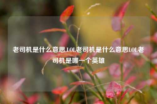 老司机是什么意思,LOL老司机是什么意思LOL老司机是哪一个英雄