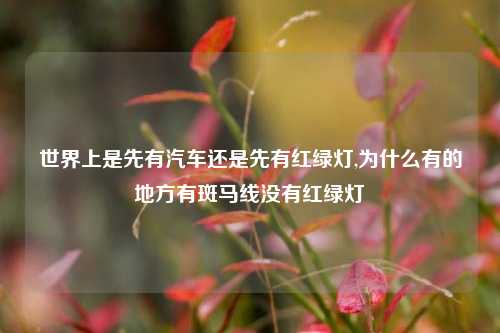 世界上是先有汽车还是先有红绿灯,为什么有的地方有斑马线没有红绿灯