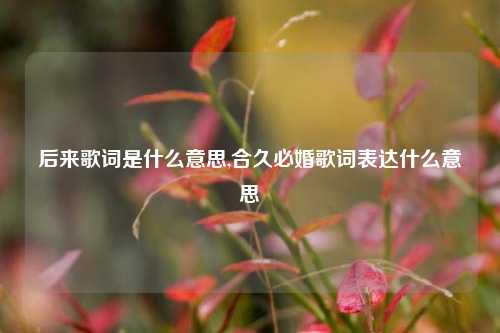 后来歌词是什么意思,合久必婚歌词表达什么意思