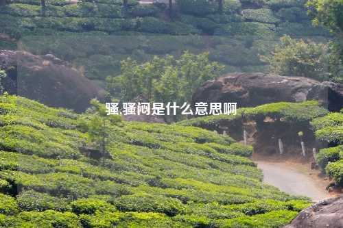 骚,骚闷是什么意思啊